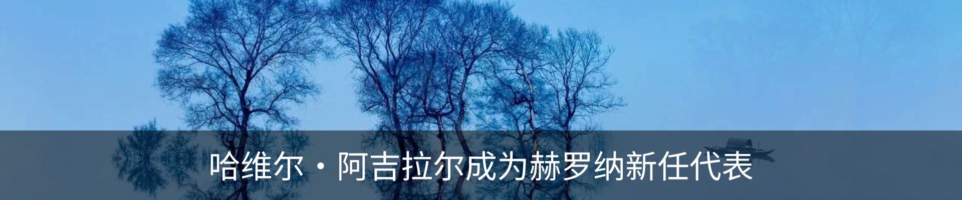 资讯动态