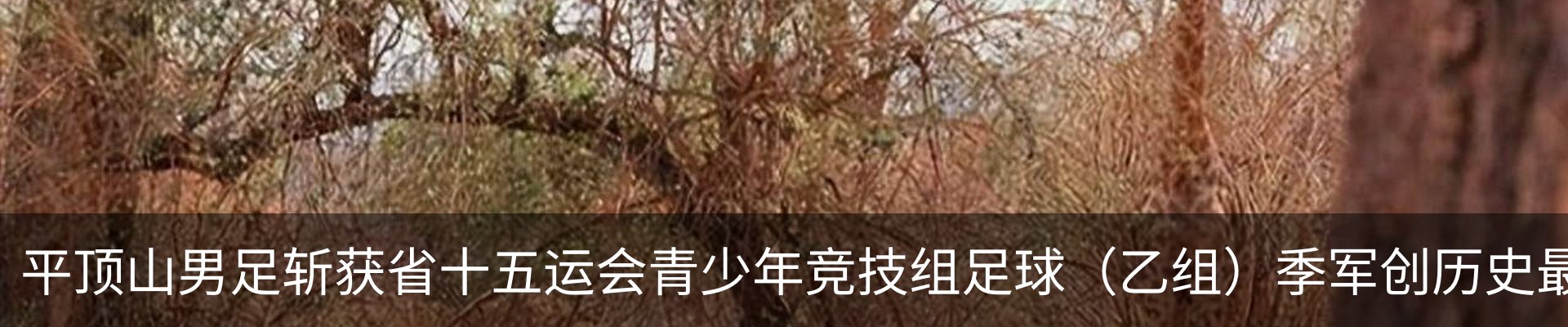 资讯动态