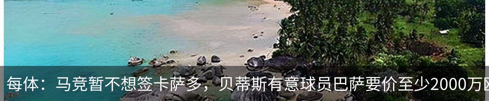 资讯动态