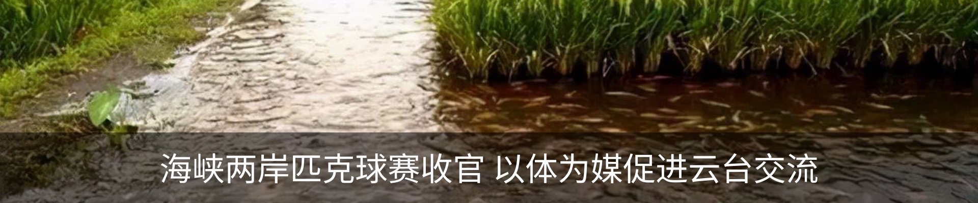 资讯动态