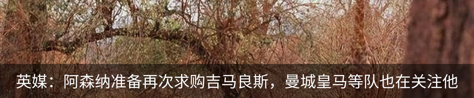 资讯动态