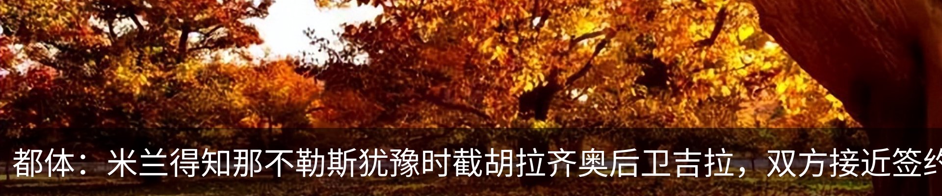 资讯动态