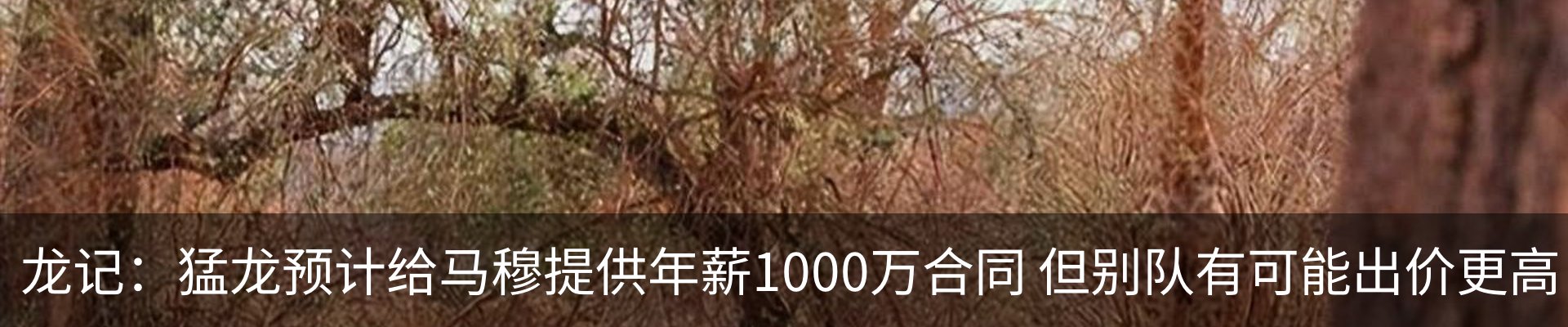 资讯动态